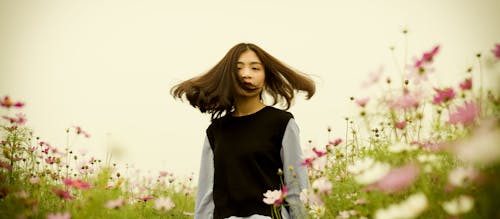 Free Girl on White and Pink Cosmos Flower Field Photography Stock Photo