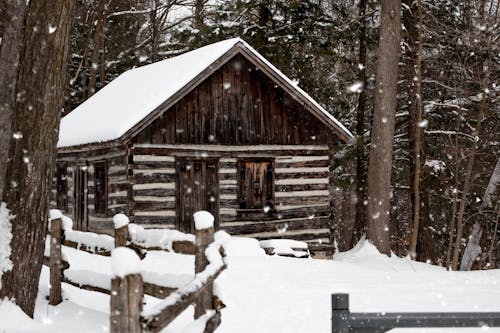 木の近くの雪に覆われた茶色の家