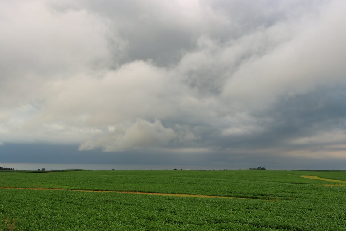 Foto stok gratis agrikultura, awan, bidang