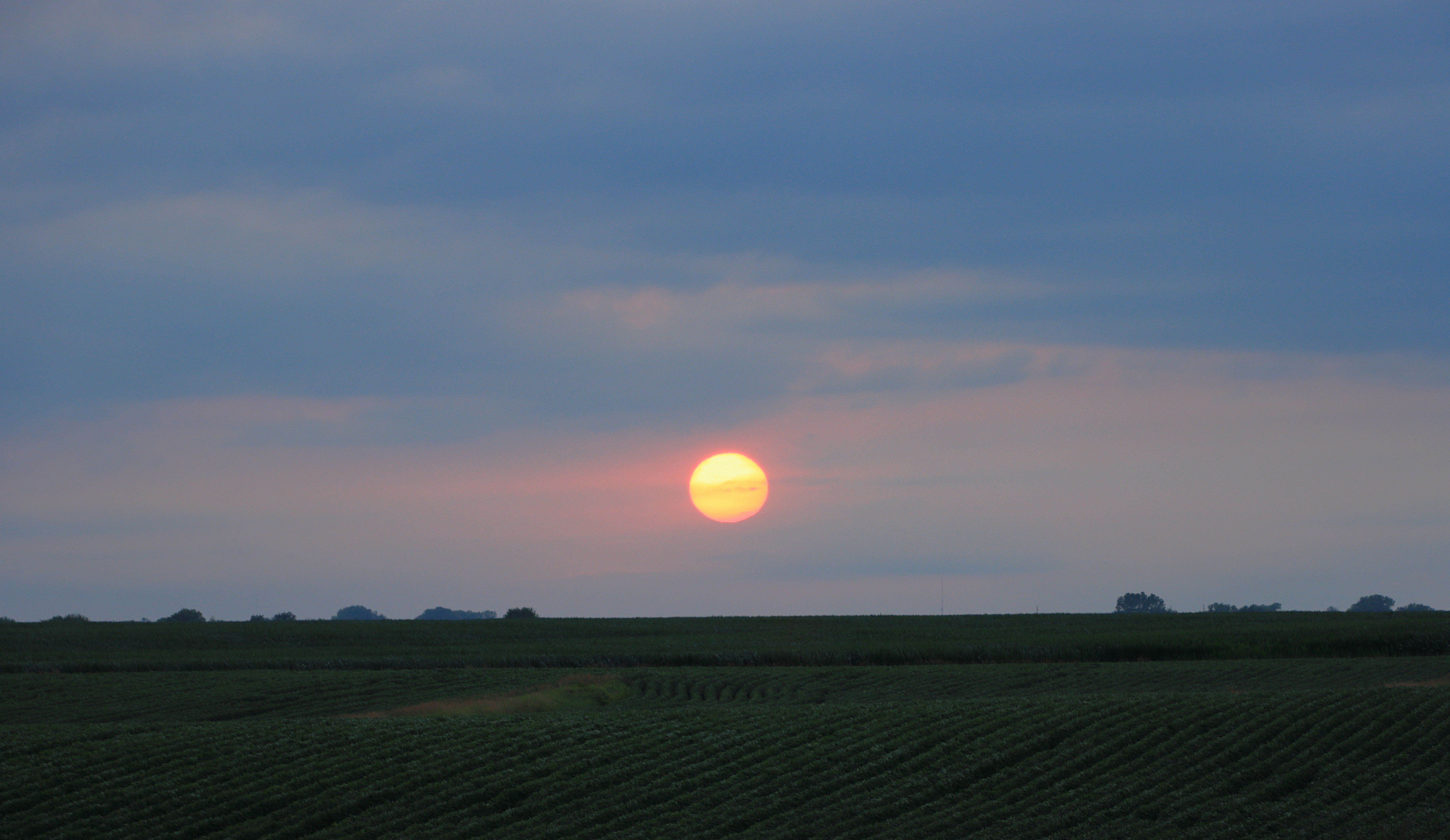 Peaceful sunset casting warm hues over vast cropland and countryside landscape.