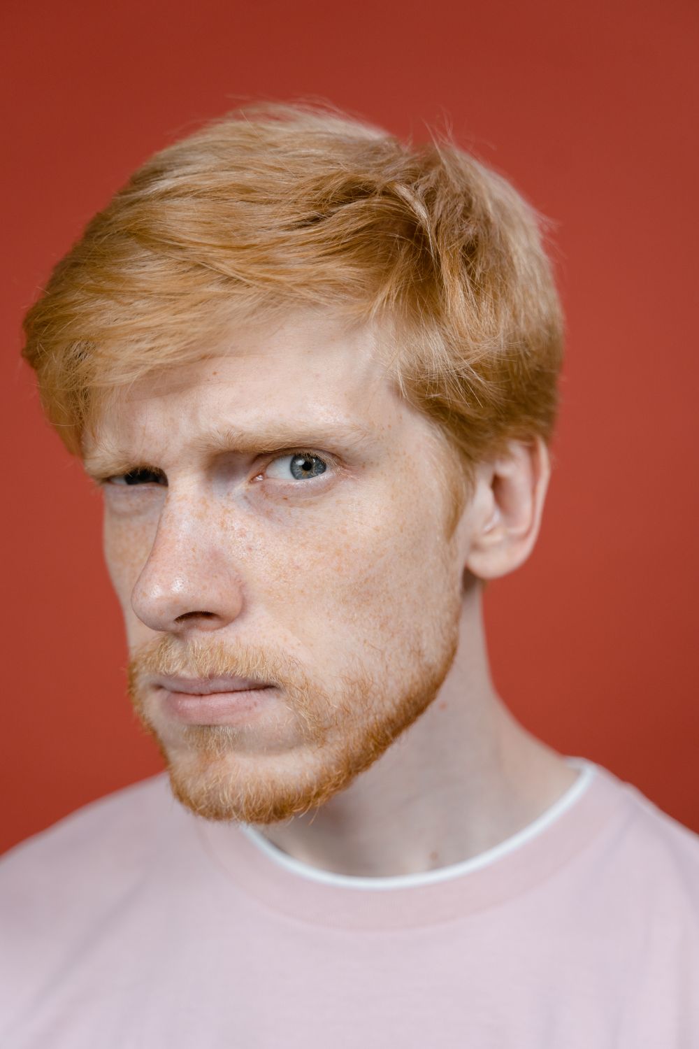 Regard Le Roux Photo gratuite de adulte, apparence, arriĂšre plan rouge, attitude ...