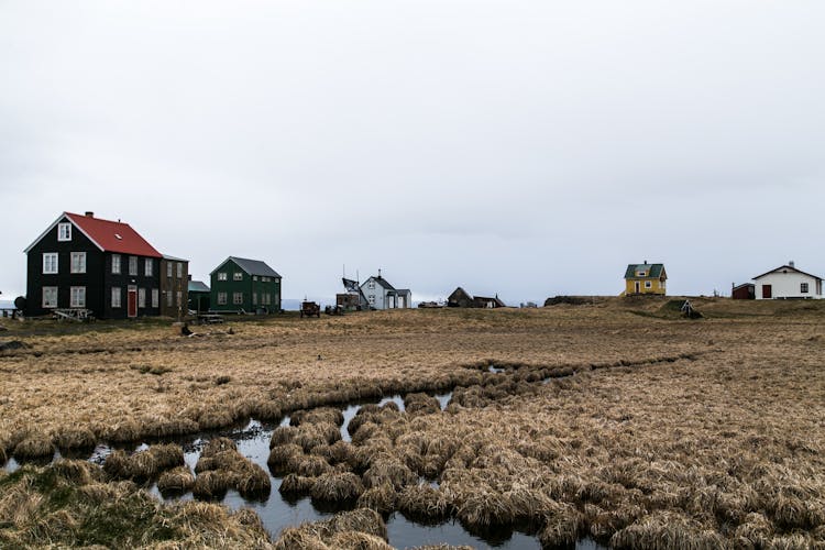 Farm Houses Near Farmland Photo