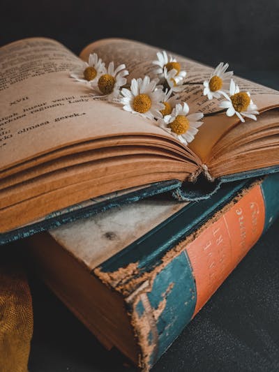 VR-зал з декораціями