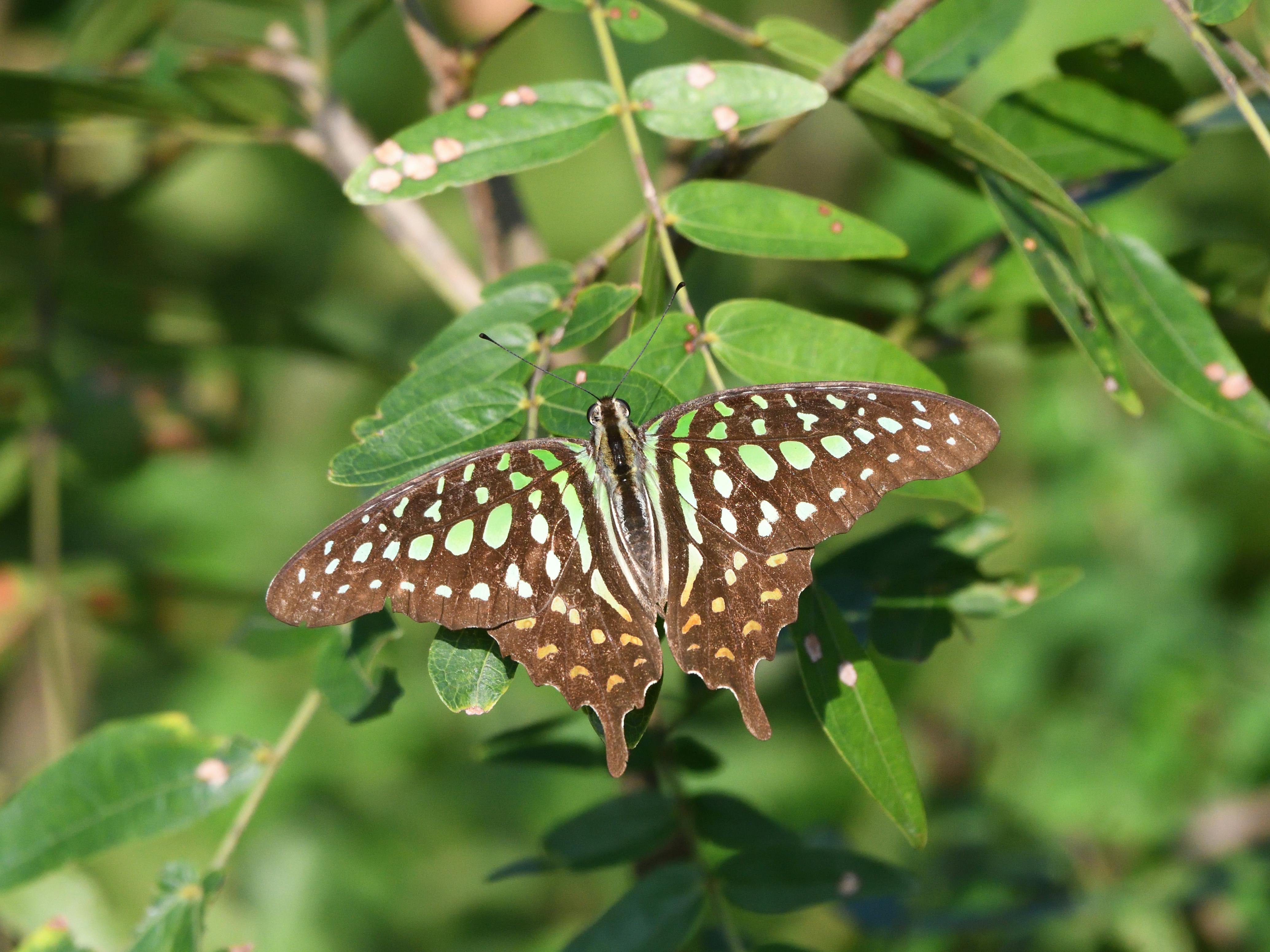 XR Accessibility: Designing Inclusive Immersive Experiences
