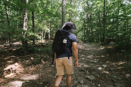 Hiker with a backpack walking a forest trail