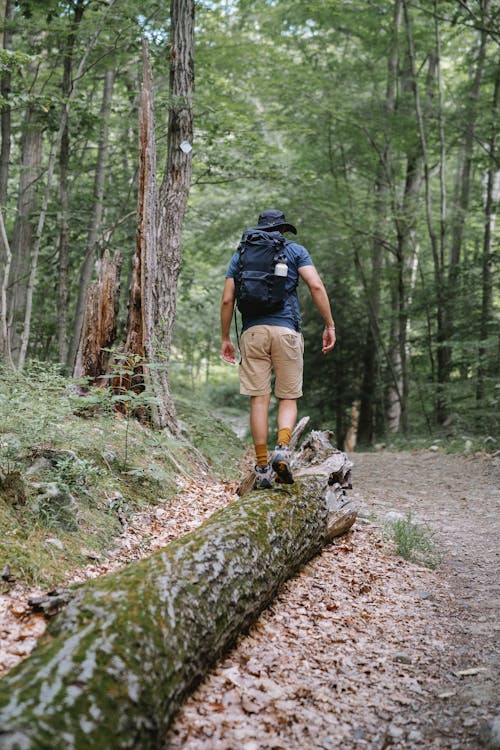 Photo of Man Walking on Tree Trunk