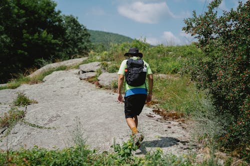 Back View of a Man with Rucksack Walking in a Countryside