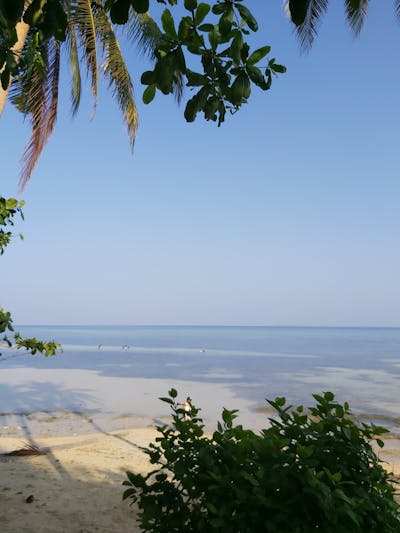 ディスコボロス