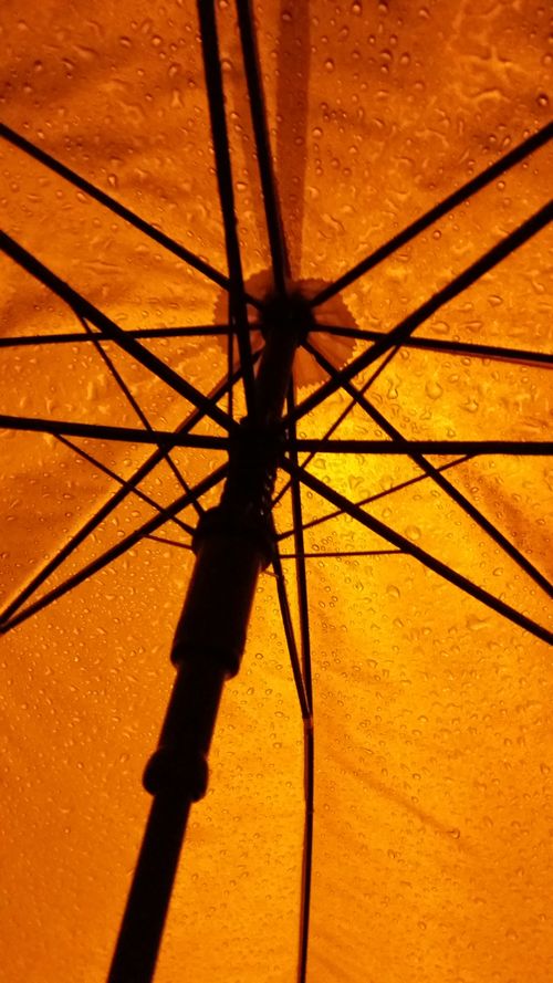 Free stock photo of light, rain, umbrella Stock Photo