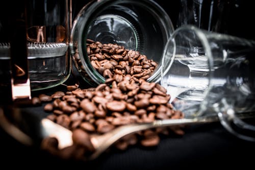 Coffee Beans Spoiling on Clear Glass Jar Near Clear Glass Mug