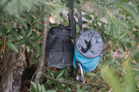 Two chalk bags hang from a tree branch among lush green leaves, ideal for climbing enthusiasts.