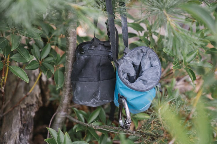 Black And Blue Bags Hanging On A Plant