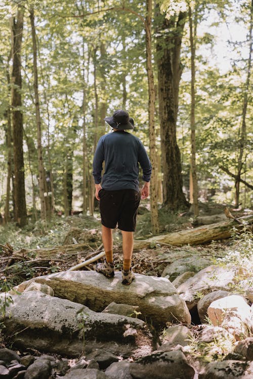 Man Standing on a Rock