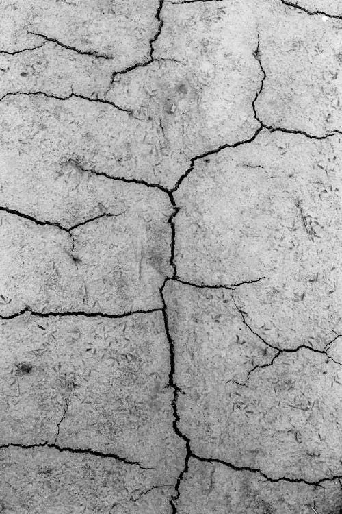 Cracked Surface of Dried Ground