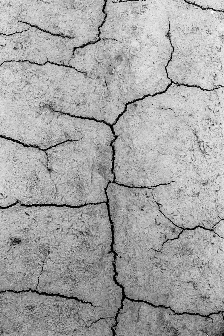 Cracked Surface Of Dried Ground