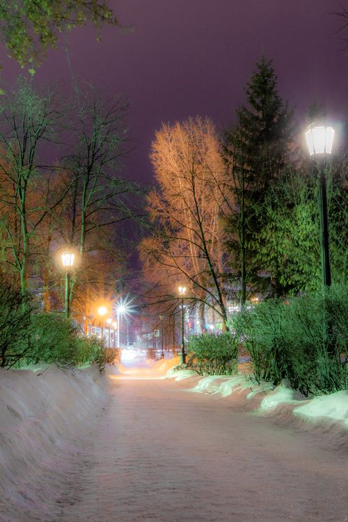 Free A serene winter path illuminated by lanterns, capturing the beauty of a snowy park at night. Stock Photo