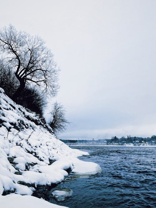 
A Snow Covered Shore