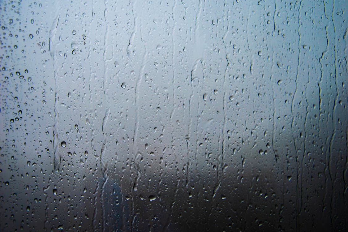 Бесплатное стоковое фото с влажный, капельки воды, капли дождя
