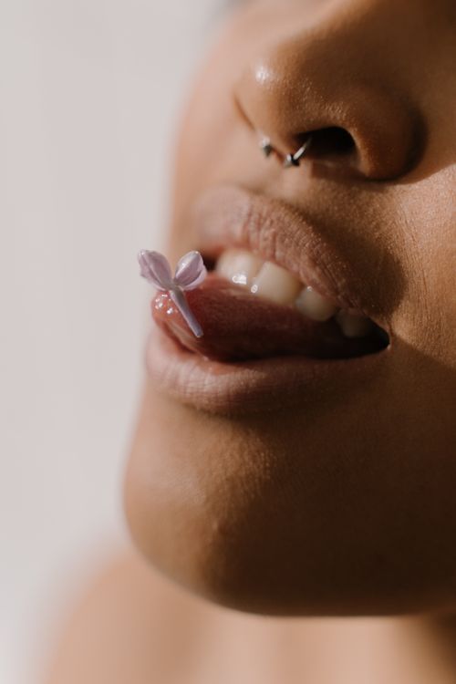 Free An artistic close-up of a person with a nose piercing, holding a lilac petal on their tongue. Stock Photo