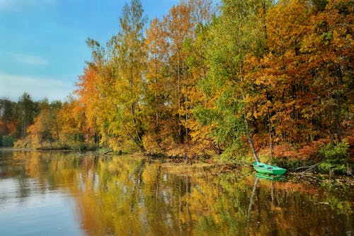 Immagine gratuita di autunno, barca, cadere