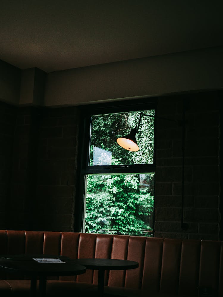 View From Cafe Window Into Forest