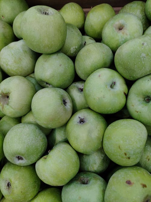 Free A Close-Up Shot of a Pile of Green Apples Stock Photo