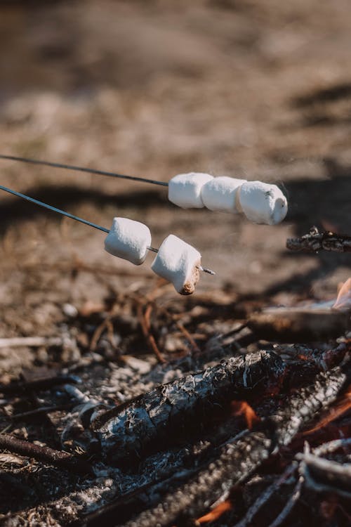Free Marshmallow Skewers Roasted on Fire Stock Photo