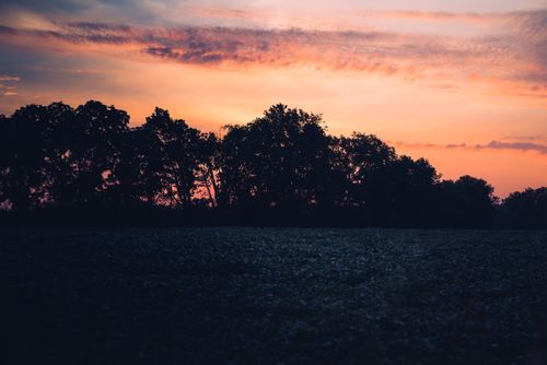 Free A tranquil sunset over a rural field with silhouetted trees and a vivid sky. Stock Photo