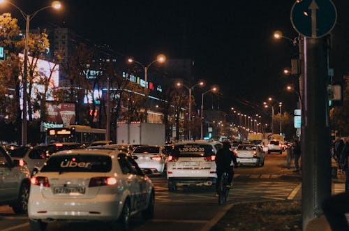 Δωρεάν στοκ φωτογραφιών με Άνθρωποι, απασχολημένος, απόγευμα