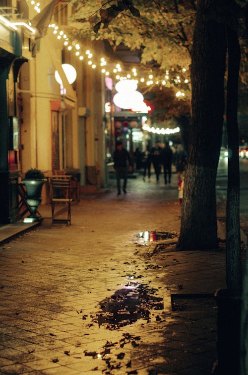 A Sidewalk in a City at Night