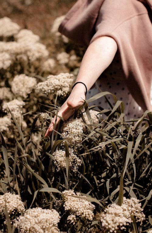 Close-up of Woman Touching Wildflowers 