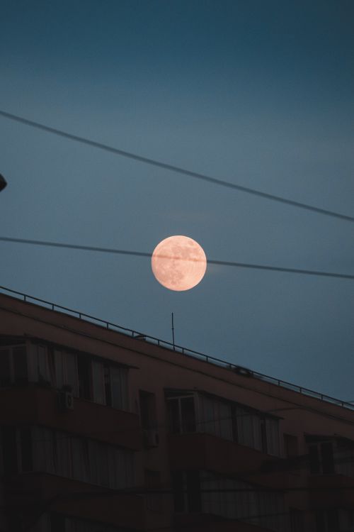 Free Captivating full moon rising over a city building against a dark night sky. Stock Photo