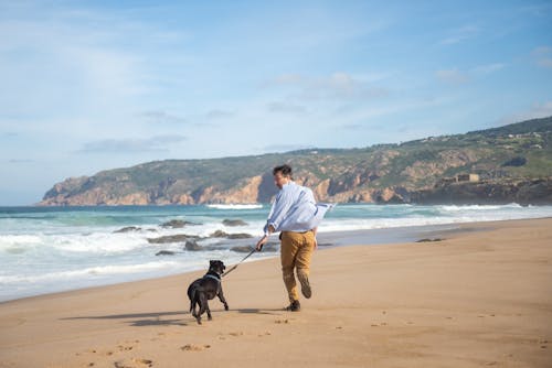 Man in Blue Button Up Shirt Running with a Black Short Coated Dog on Beach