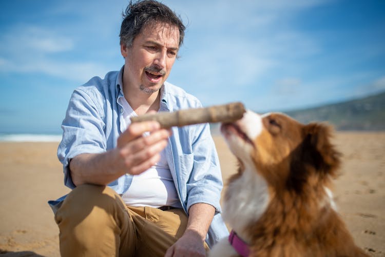 Man Giving Dog Wooden Stick