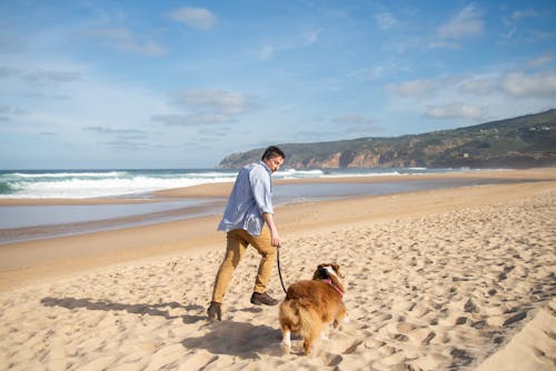 A Man in Blue Long Sleeve Shirt Running on Shore with a Brown Dog 