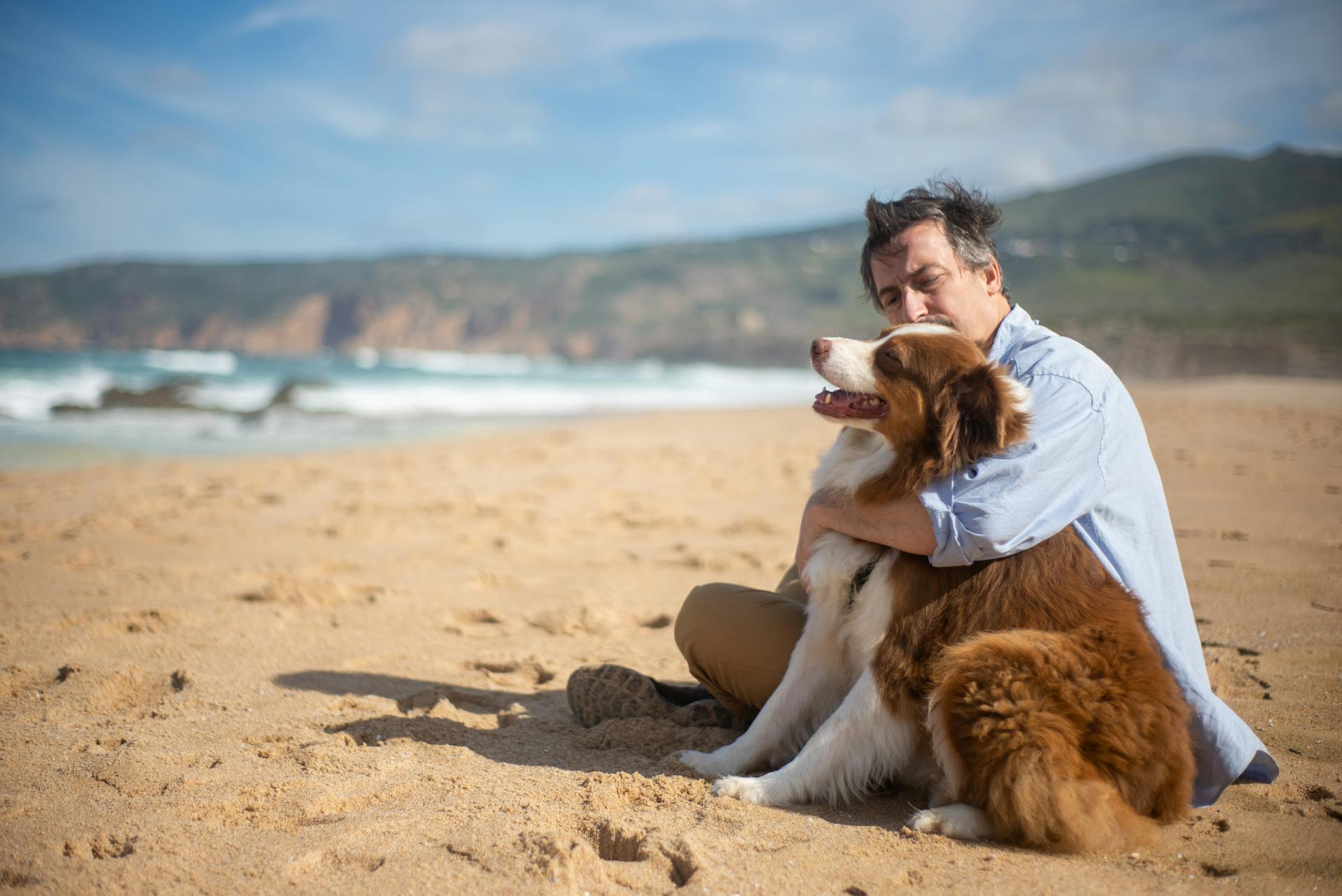 Man in Blue Dress Shirt Sitting on Sand Beside Brown and White Long Coated Dog