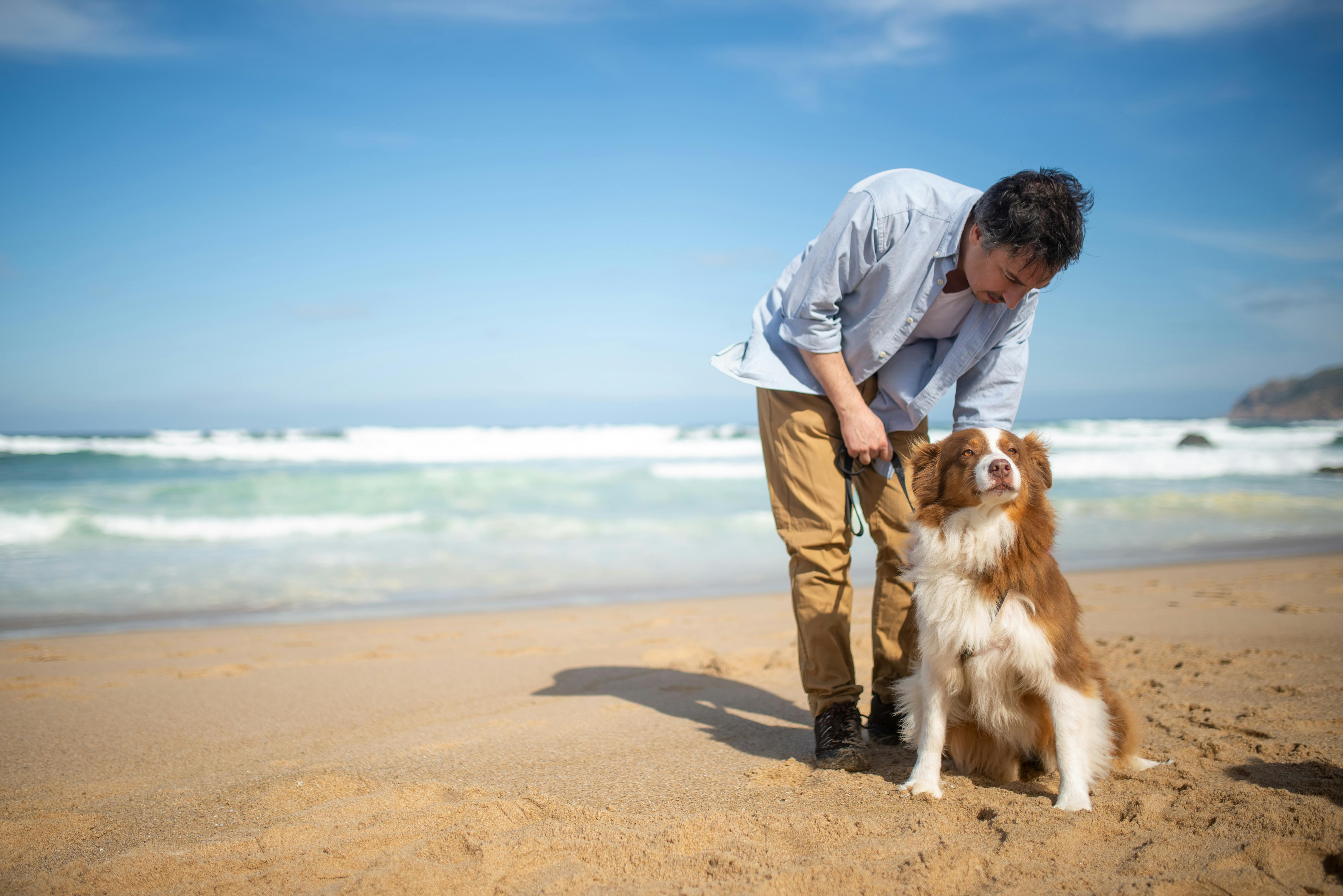 Why Do Dogs Have Wet Noses? Discover the Fascinating Reasons! 10 Fun Facts About Dog Noses: Why Wetness Matters for Your Pet’s Well-Being