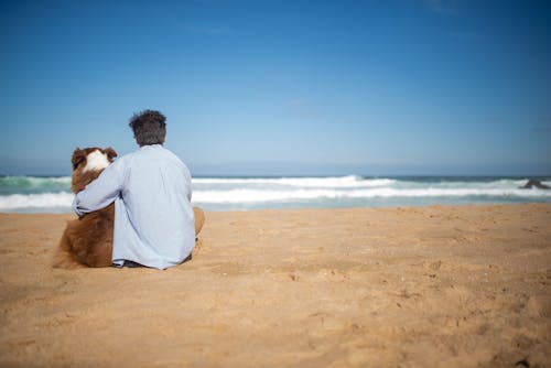 Free Man in Blue Long Sleeve Shirt Sitting on Brown Sand Near the Beach Stock Photo
