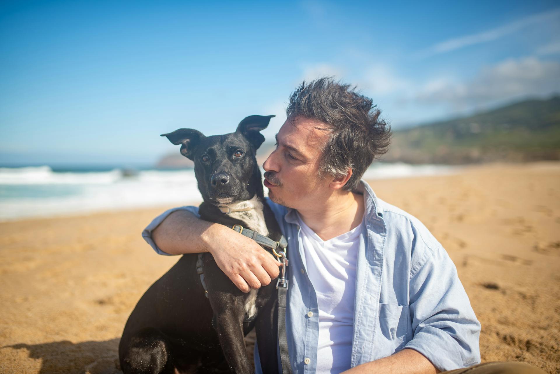 Man in Blue Long Sleeve Button Up Shirt Embracing Black and White Dog