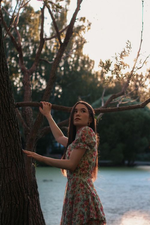 Free Side view of young Asian female wearing silk floral dress with long hair holding stem and branches of tall massive tree near lake in sunlight Stock Photo