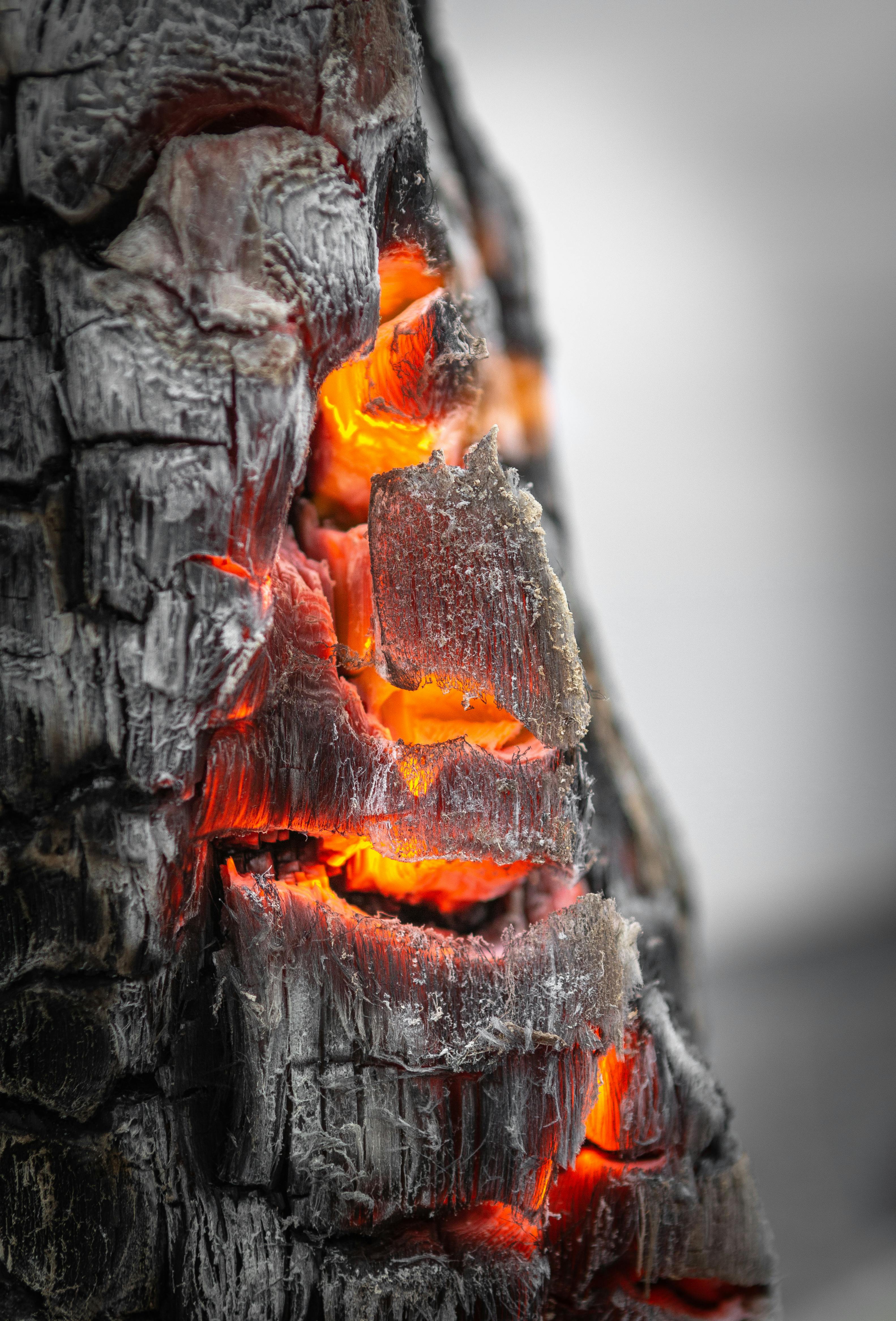 Charcoal Fire Wood Burning Wood And Coal In Fireplace Stock Photo