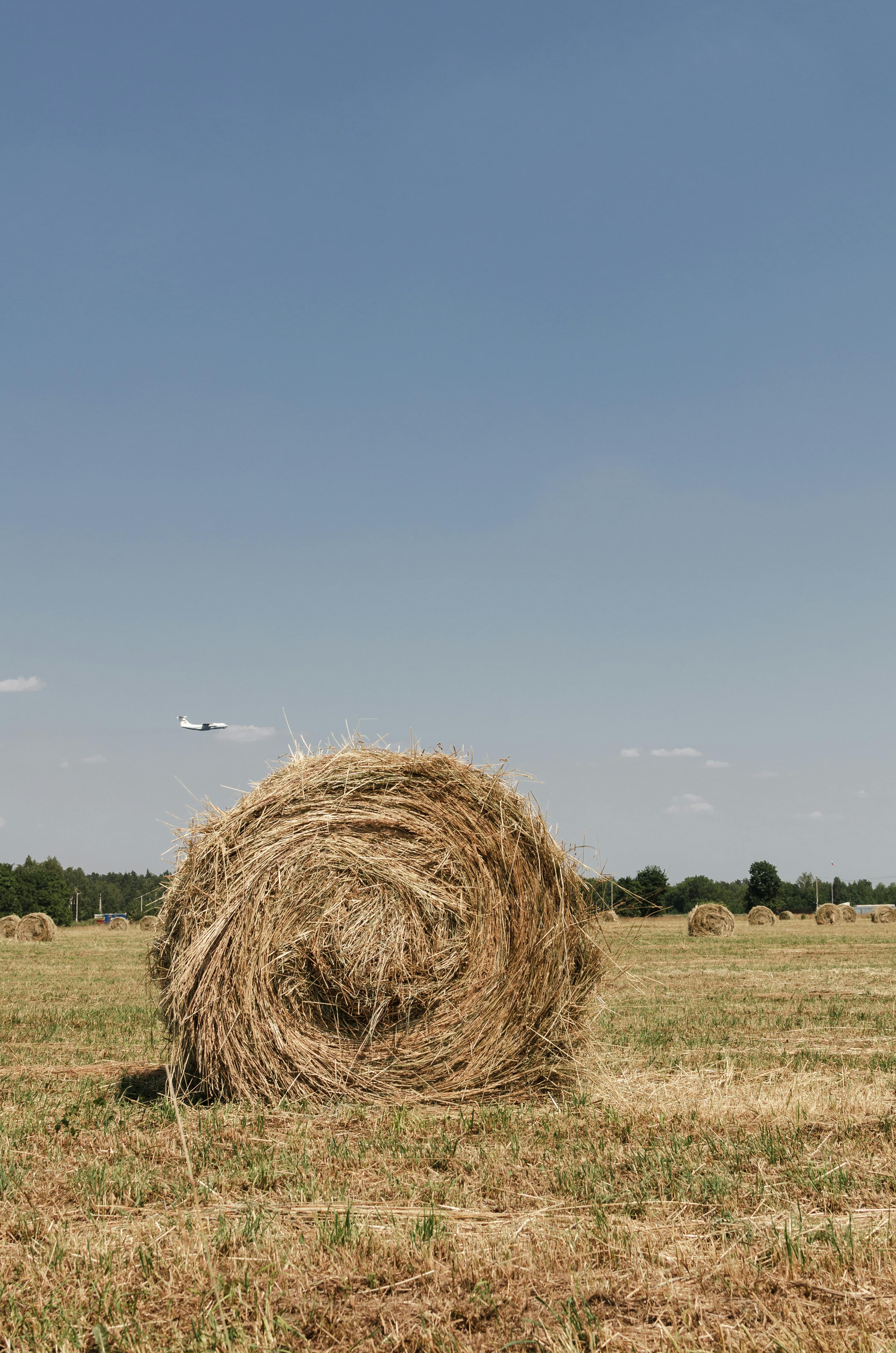 hay bales in an open field