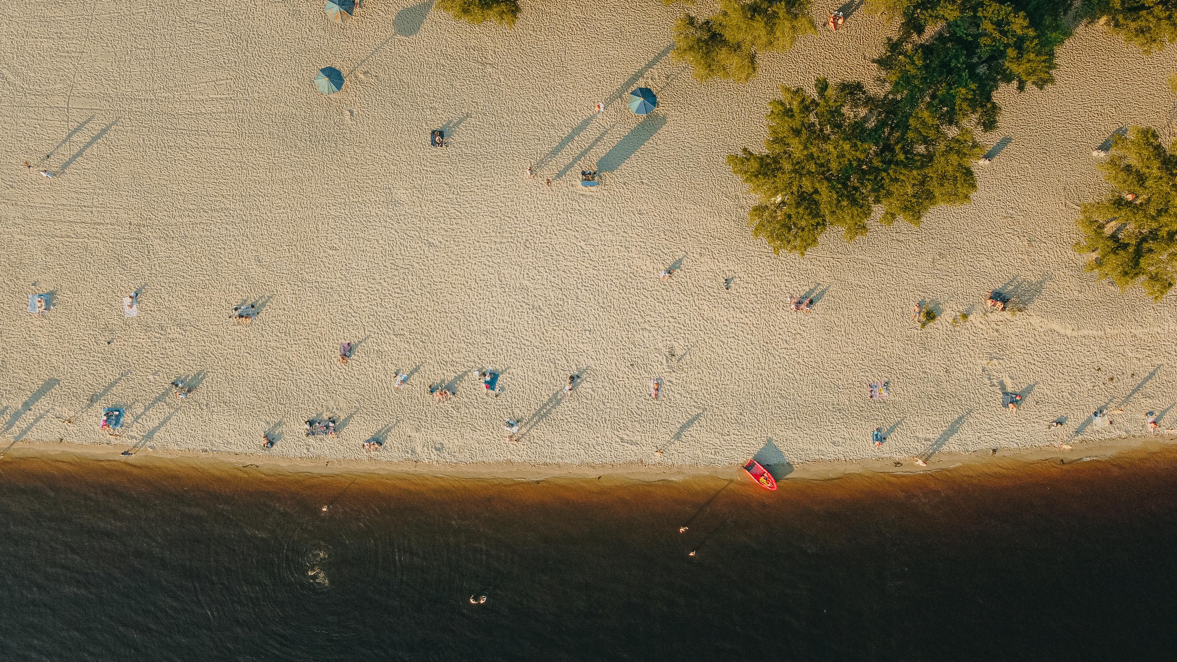 Stunning aerial shot of a summer beach with scattered people and trees in Kyiv, Ukraine.
