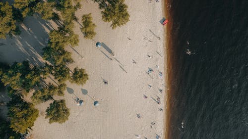 人, 假期, 旅行 的 免费素材图片