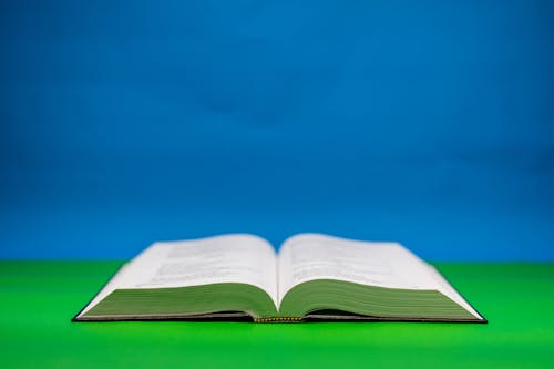 Close-Up Shot of an Open Bible on a Green Surface