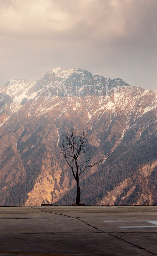 Ảnh lưu trữ miễn phí về @ngoài trời, alps, bầu trời