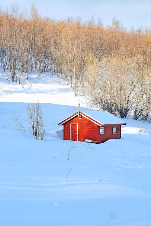 Immagine gratuita di alberi, campo, casa di legno