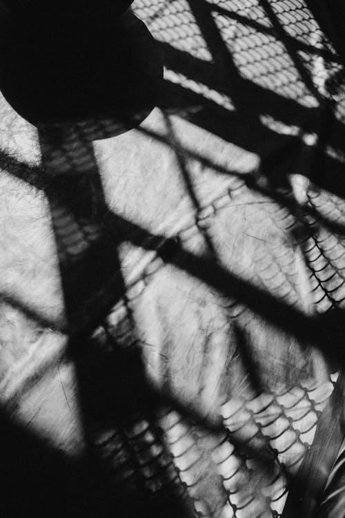 Free Grayscale Photo of Shadow of a Metal Fence Stock Photo