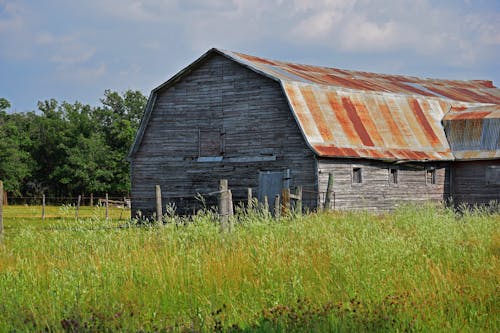 Free stock photo of barn, corrugated, decay