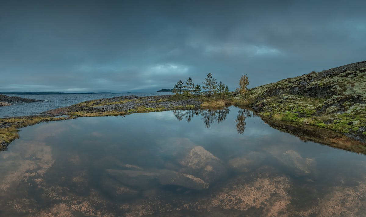 Vertical video analytics dashboard showing growth in crypto-related short-form content performance